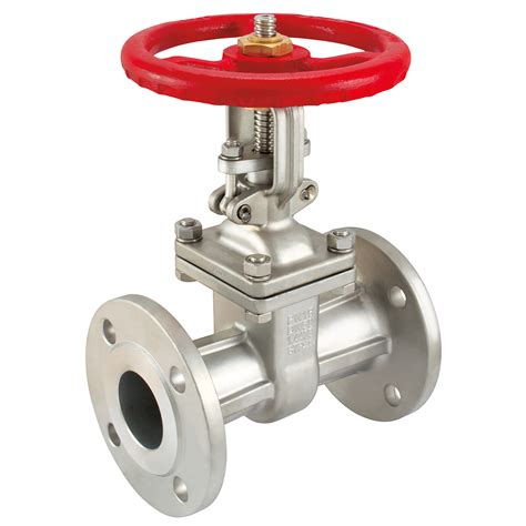 112 Pn16 Stst Gate Valve Hydair