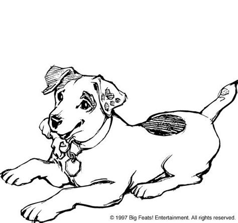 Jack Russell Terrier Coloring Sheets Coloring Pages
