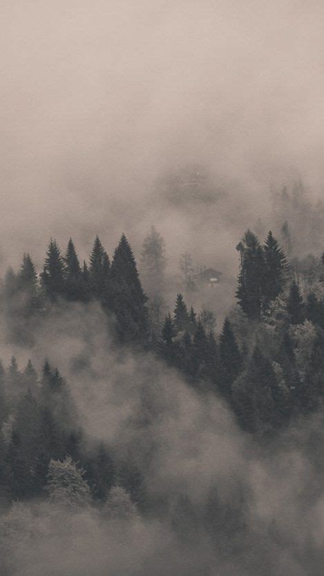 Foggy Forest Wallpaper 4k Iphone Goimages This