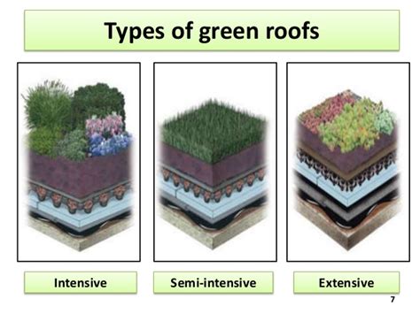 Intensive Green Roof Design The Expert