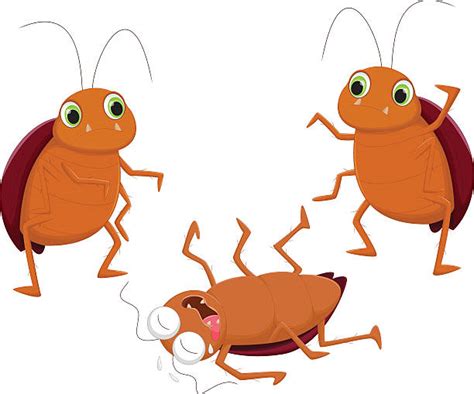 cartoon dead cockroach illustrations royalty free vector graphics and clip art istock