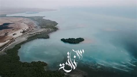 الصفحه الرسمية لمنطقة تليفونات البحر الأحمر. ‫قافلة من الإبل تسبح في البحر الأحمر في السعودية‬‎ - YouTube
