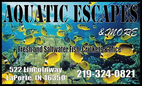 Aquatic Escapes