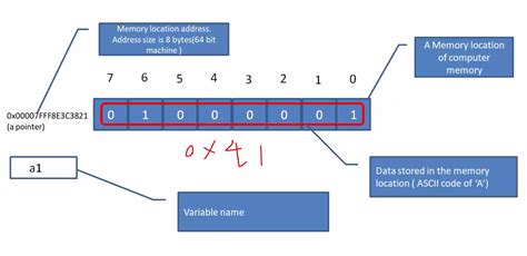 How To Print The Address Of A Variables Memory Location Address