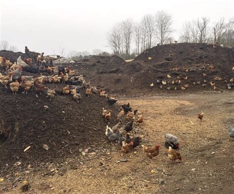 Composting In Vermont Has Spiked Since Food Scraps Were Banned From