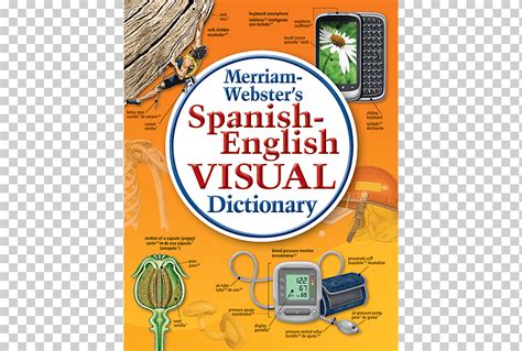 Diccionario Visual En Inglés Merriam Webster Diccionario Español Inglés