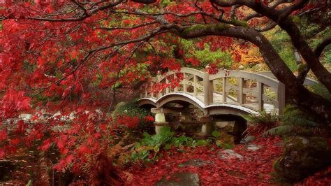 Autumn Zen Garden Wallpapers Wallpaper Cave