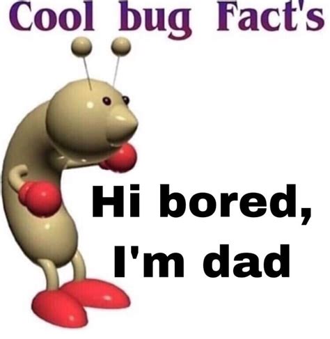 Ive Lost 30 Instagram Followers By Posting Over 150 Cool Bug Facts In