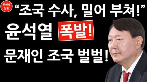 18일 중앙일보에 따르면 윤 총장은 이날 오전 10시30분쯤 반려견인 진돗개와 함께 서울 서초구 자택에서 나와 인근을 산책했다. 윤석열 이례적 입장문! (진성호의 직설) - YouTube