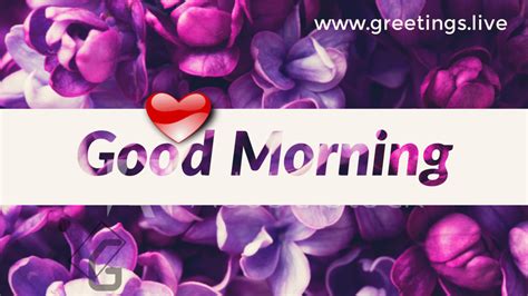 Good Morning  Animation For Lovers Hd Good Morning  Animation