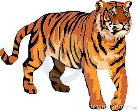 Download High Quality Tiger Clipart Realistic Transparent Png Images