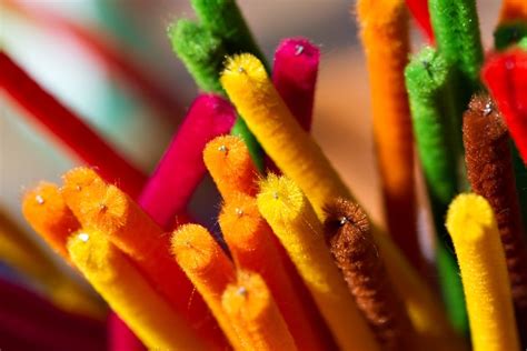Rub the cactus with oil and season it with salt and pepper. How to Make a Pipe Cleaner Cat Toy | Cuteness