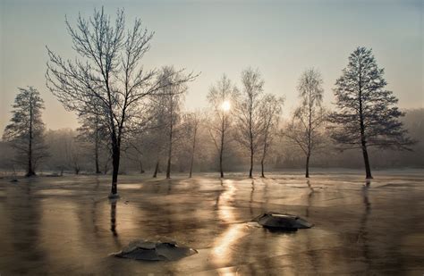 Sun Frost Ice Trees Winter Wallpapers Hd Desktop And Mobile