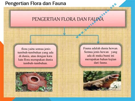 Gambar Flora Dan Fauna Negara Brunei Darussalam Gambar Lukisan Riset