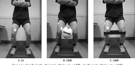 PDF The Effect Of Isometric Hip Adduction And Abduction On The Muscle