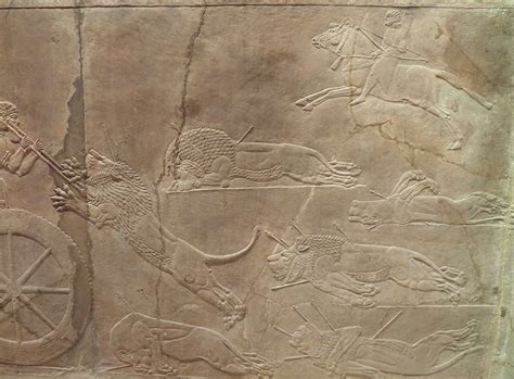 The Royal Lion Hunt Reliefs From The Assyrian Palace At Nineveh About