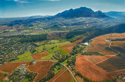 South African wine - Decanter