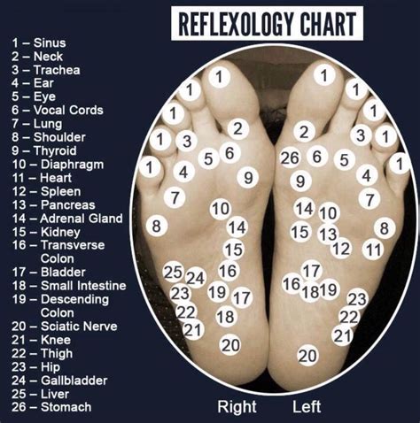 Reflexology Chart Reflexology Massage Pressure Points Reflexology