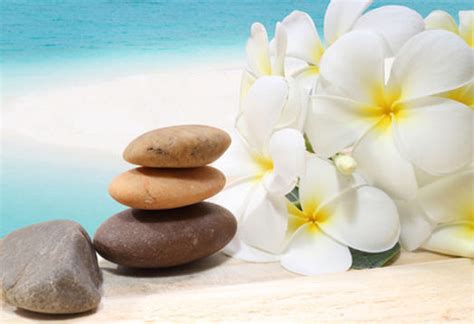 Oasis To Zen Wellness Center And Transformation Spa Energy Spa Reiki Massage Facials