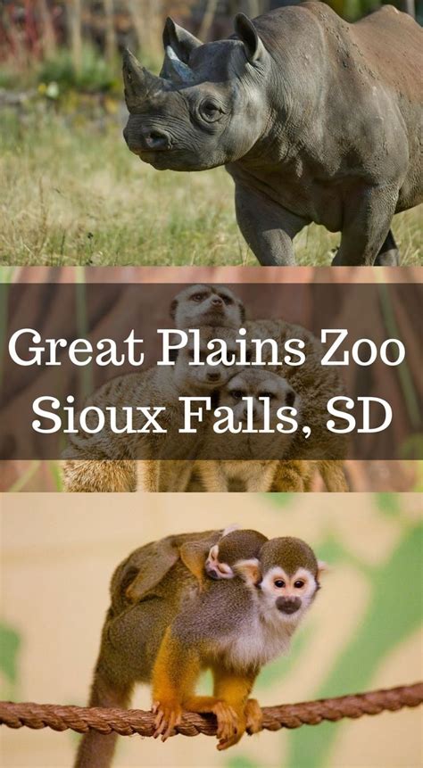 Great Plains Zoo And Delbridge Museum Of Natural History Sioux Falls