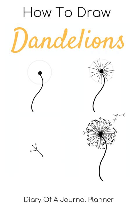How To Draw A Dandelion Easy Dandelion Drawing Step By Step Tutorial