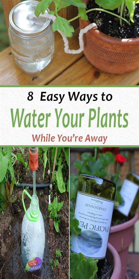 Maybe you would like to learn more about one of these? How to Water Plants While You're Away - Organic Gardening ...