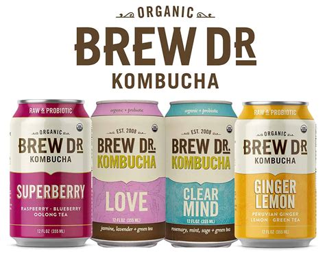10 Best Kombucha Brands To Improve Gut Health - Success Life Lounge