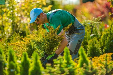 What Is The Best Way To Find Quality Landscaping Companies Near Me