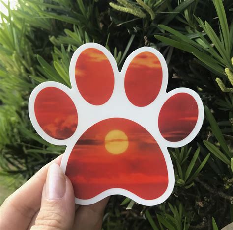 Paw Sticker Paw Print Paw Print Sticker Vinyl Sticker Cat Etsy