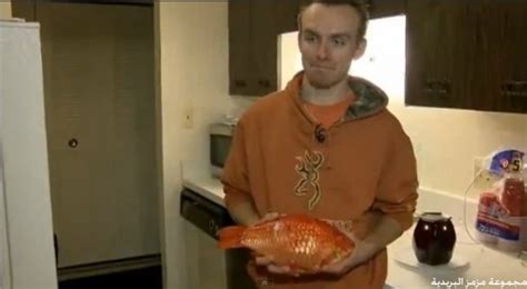 شبكة معرفتي بالفيديو أمريكي يصطاد سمكة ذهبية عملاقة يبلغ وزنها ثلاثة