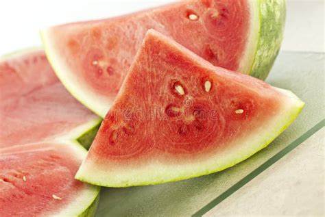 Fresh Cut Watermelon Stock Photo Image Of Nature Juicy 16195418