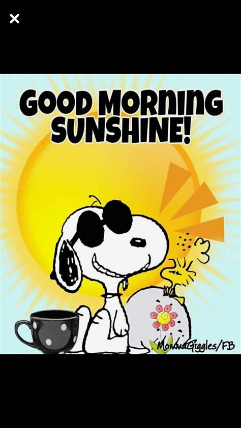 Good morning you delicious cupcake. Good morning sunny days | snoopy ... | Funny good morning memes, Morning memes, Good morning ...