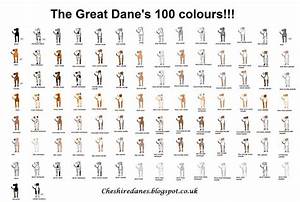 Cheshire Danes The Great Dane 39 S 100 Colors Chart Hawksley