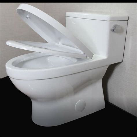 Elongated Modern One Piece Toilet Comfort Height Single