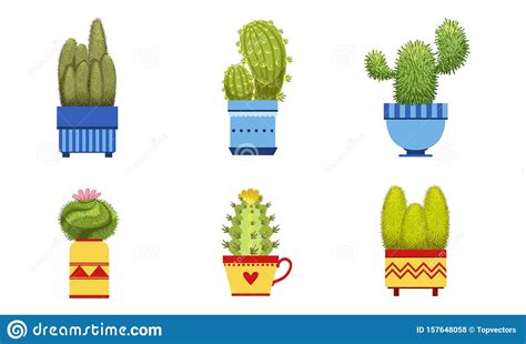 Plantas De Cactus En Macetas De Flores Cactus Y Suculentas