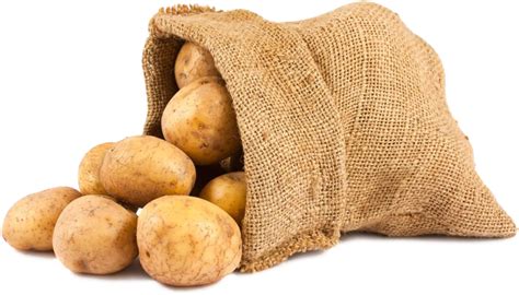 Potato Png Sack Of Potatoes Png Clipart Large Size Png Image Pikpng