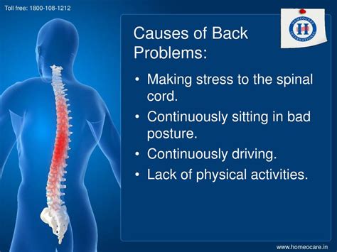 Ppt Homeopathy Treatment For Back Problems Powerpoint Presentation