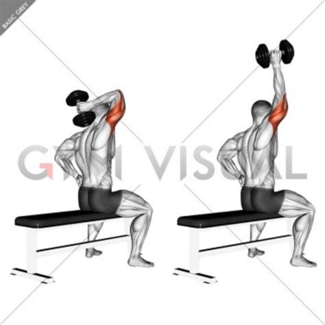 Dumbbell One Arm Tricep Extension Exercise How To Workout Trainer