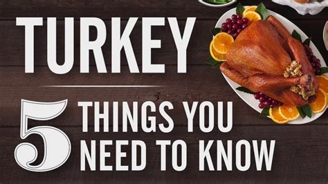 Turkey Tips Proper Probe Placement In Your Turkey Youtube