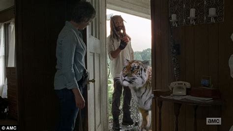 Also backing the theory is a zombie which was panned over and appeared to have been mauled by a tiger. King Ezekiel and his tiger Shiva make their debut on The ...