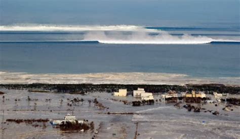 The goals of the museum are to promote public tsunami education and to preserve history. Stephanie Ricci Tsunami Timeline | Timetoast timelines