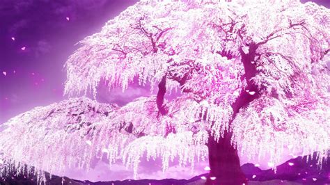 Anime Trees Pink Wallpapers Wallpaper Cave