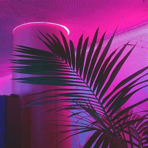 The Pink Light Gives Off An Implied Blue Pink Aesthetic Neon