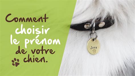 Retrouvez des conseils pour choisir un prénom ainsi que plus de 900 propositions de prénoms. Bien choisir le nom de votre chien - YouTube