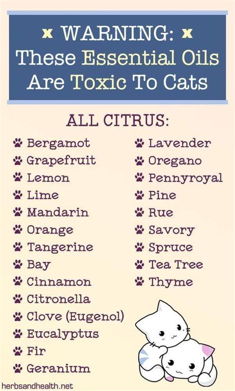 These Essential Oils Are Toxic To Cats In 2020 Cat Essentials