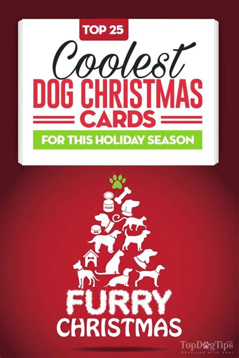 25 Unique Dog Christmas Cards for Animal Lovers