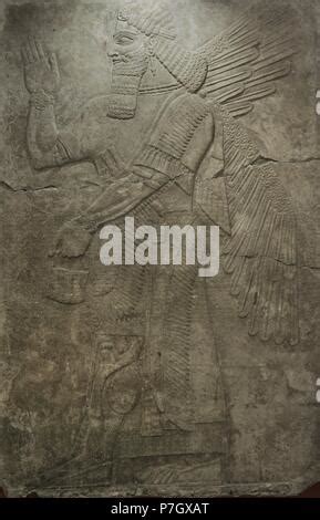 Assyrian Winged Genie Assyrian Relief From The Northwest Palace Of