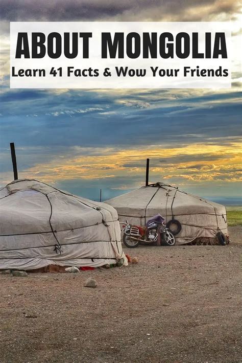 41 Interesting Facts About Mongolia Tiki Touring Kiwi