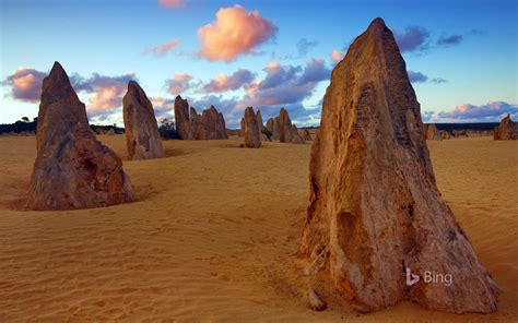 Pinnacles Stone Western Australia 2020 Bing Desktop Preview