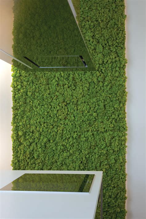 Moss Wall Living Green Walls From Verde Profilo Architonic